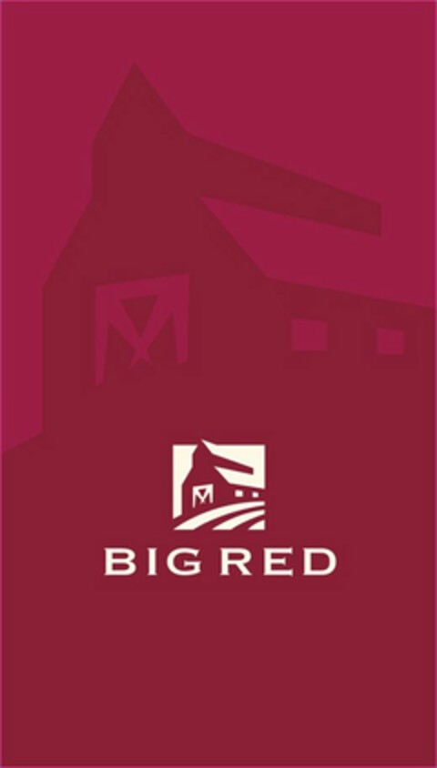 BIG RED Logo (USPTO, 08.03.2019)