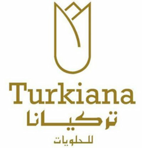 TURKIANA Logo (USPTO, 07/29/2019)