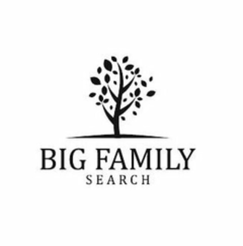 BIG FAMILY SEARCH Logo (USPTO, 22.12.2019)