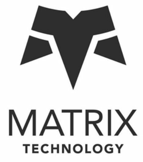 MT MATRIX TECHNOLOGY Logo (USPTO, 24.07.2020)