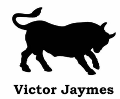 VICTOR JAYMES Logo (USPTO, 02.06.2010)