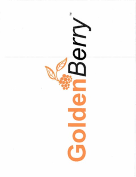 GOLDENBERRY Logo (USPTO, 14.01.2015)