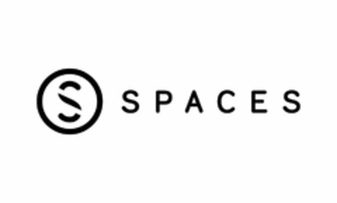 SPACES Logo (USPTO, 03/16/2016)