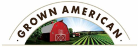 .GROWN AMERICAN. Logo (USPTO, 13.10.2017)