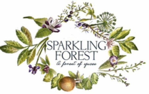 SPARKLING FOREST A FOREST OF SPICES Logo (USPTO, 11.04.2019)