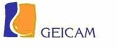GEICAM Logo (USPTO, 12/07/2010)