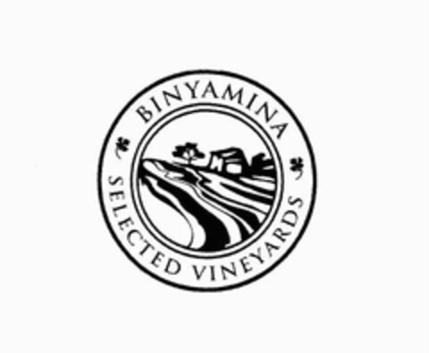 BINYAMINA SELECTED VINEYARDS Logo (USPTO, 10/26/2011)