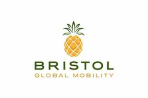 BRISTOL GLOBAL MOBILITY Logo (USPTO, 20.03.2014)