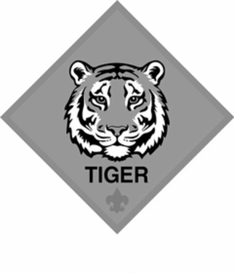 TIGER Logo (USPTO, 30.03.2014)