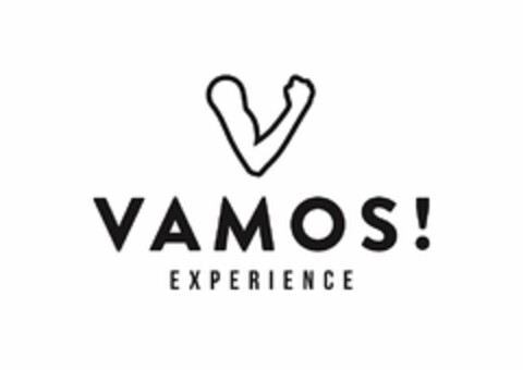 VAMOS! EXPERIENCE Logo (USPTO, 01.08.2017)