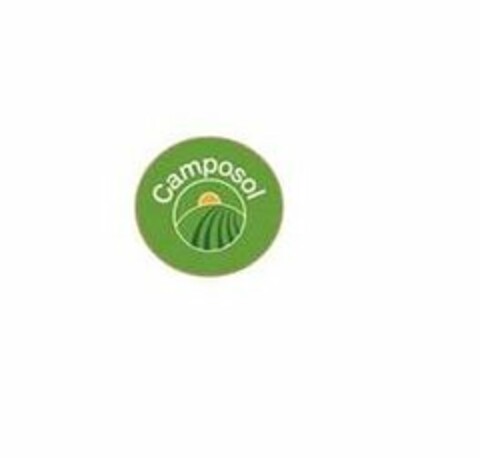 CAMPOSOL Logo (USPTO, 07/30/2019)