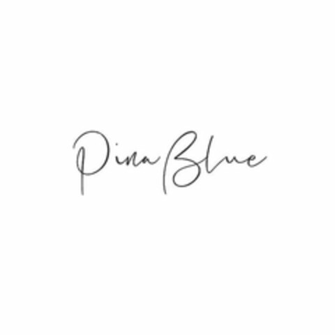 PINA BLUE Logo (USPTO, 07/28/2020)