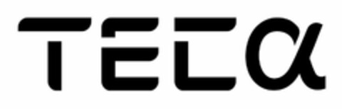 TEC Logo (USPTO, 21.08.2020)