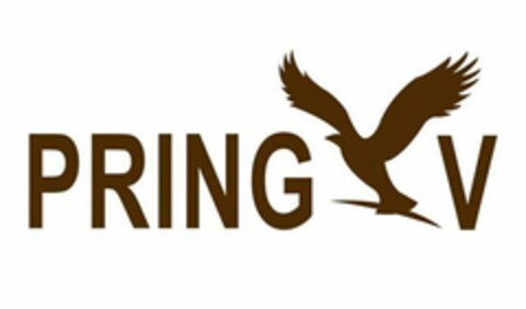 PRING V Logo (USPTO, 11.12.2009)