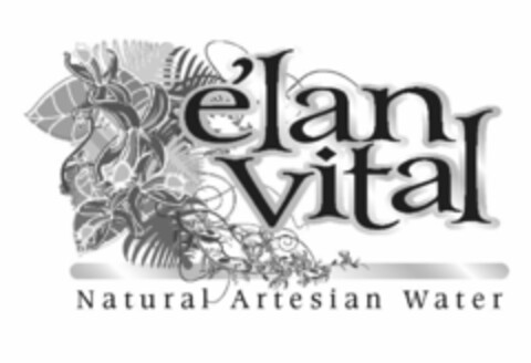 ÉLAN VITAL NATIONAL ARTESIAN WATER Logo (USPTO, 05/04/2012)