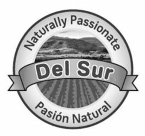 NATURALLY PASSIONATE DEL SUR PASION NATURAL Logo (USPTO, 10.07.2015)