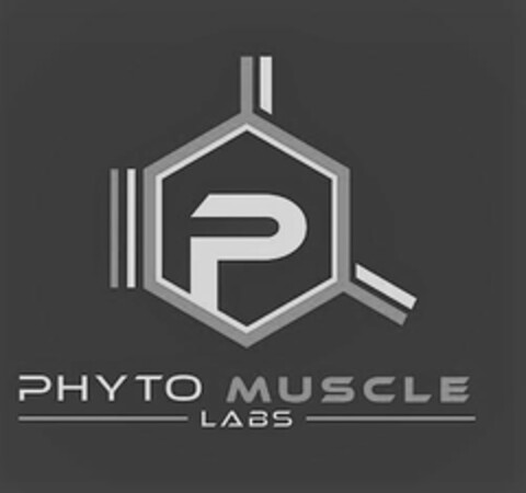 PHYTO MUSCLE LABS Logo (USPTO, 04.06.2018)