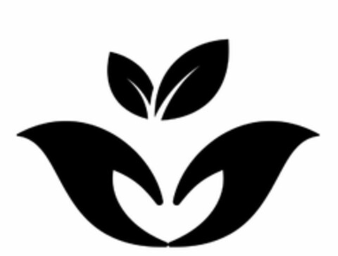  Logo (USPTO, 08.06.2020)