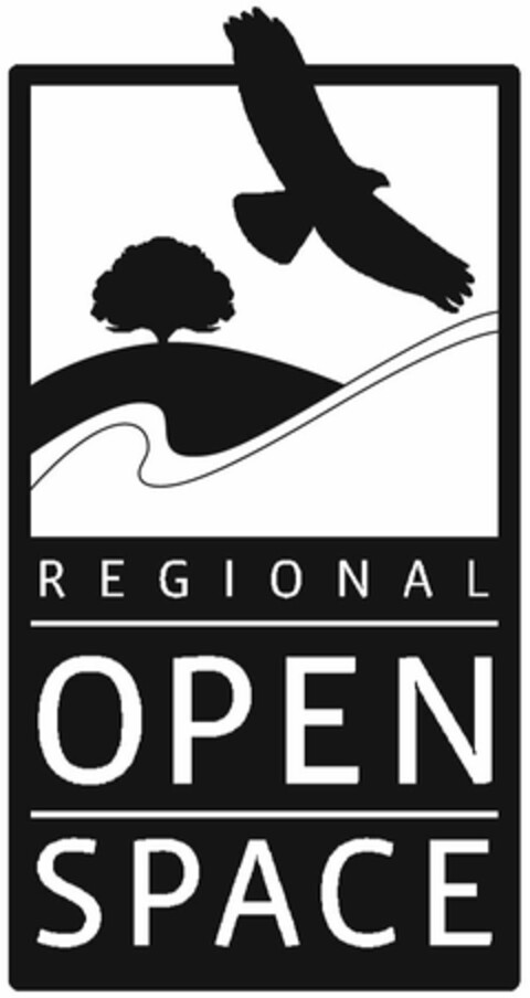 REGIONAL OPEN SPACE Logo (USPTO, 25.03.2010)