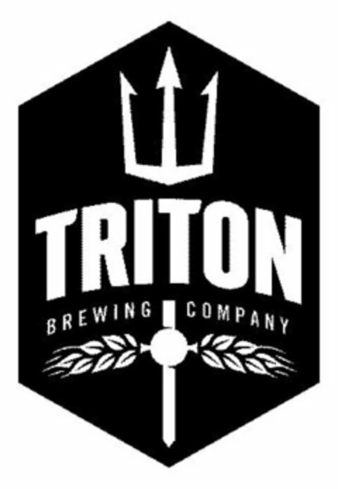 TRITON BREWING COMPANY Logo (USPTO, 02.06.2010)