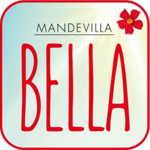 MANDEVILLA BELLA Logo (USPTO, 04/08/2019)