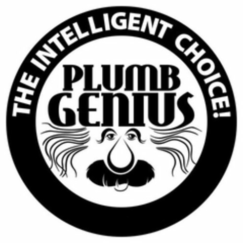 PLUMB GENIUS THE INTELLIGENT CHOICE! Logo (USPTO, 11/04/2009)