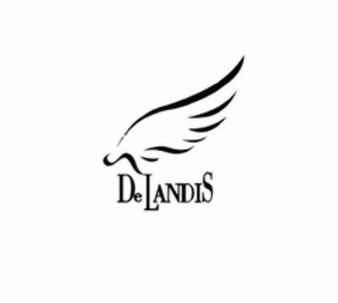 DELANDIS Logo (USPTO, 29.01.2010)