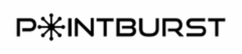 POINTBURST Logo (USPTO, 08.12.2011)