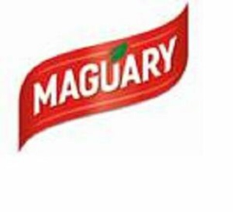 MAGUARY Logo (USPTO, 11.10.2019)