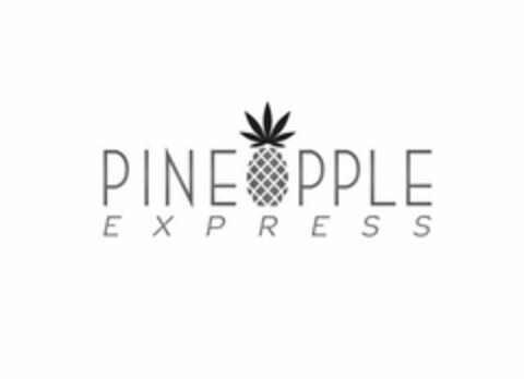 PINE PPLE EXPRESS Logo (USPTO, 06/04/2020)