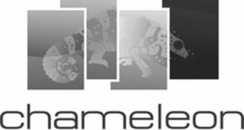 CHAMELEON Logo (USPTO, 04/03/2010)