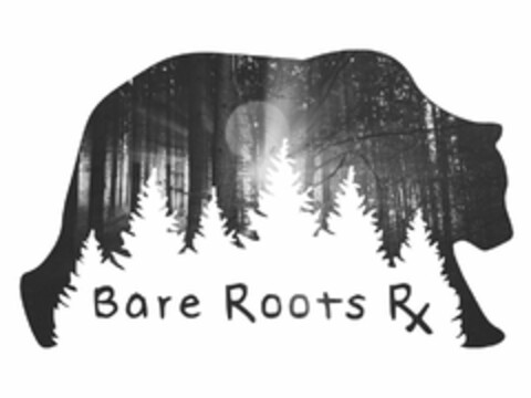 BARE ROOTS RX Logo (USPTO, 04.06.2019)