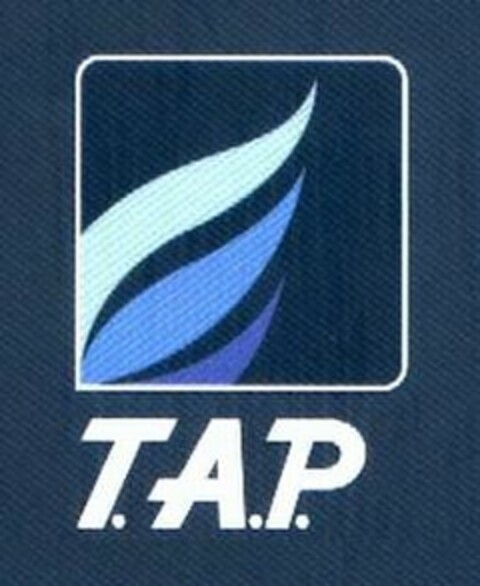 T.A.P. Logo (USPTO, 26.06.2009)
