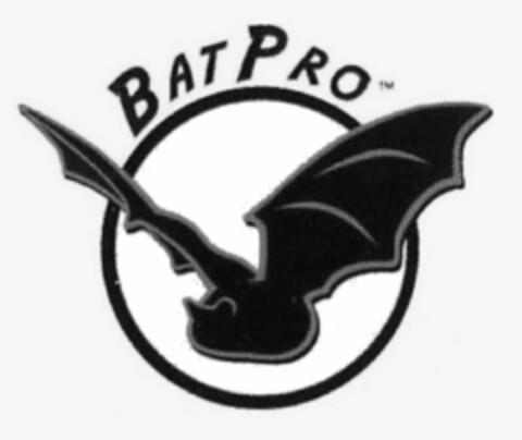 BATPRO Logo (USPTO, 29.10.2010)