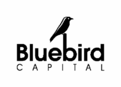 BLUEBIRD CAPITAL Logo (USPTO, 07/10/2011)