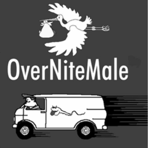 OVERNITEMALE Logo (USPTO, 03.08.2010)