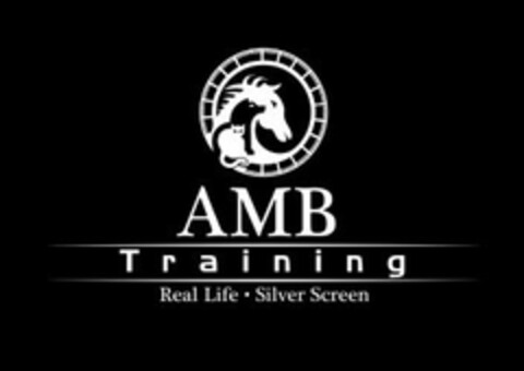 AMB TRAINING REAL LIFE·SILVER SCREEN Logo (USPTO, 29.11.2016)