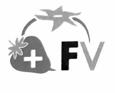 FV Logo (USPTO, 12/28/2018)