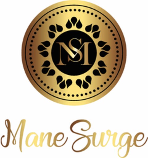 MS MANE SURGE Logo (USPTO, 08.05.2020)