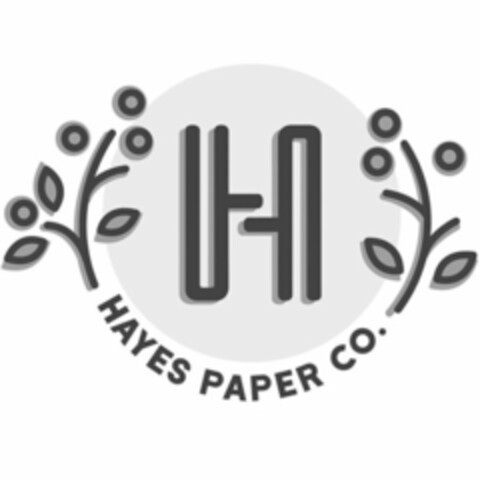 H HAYES PAPER CO. Logo (USPTO, 16.07.2020)