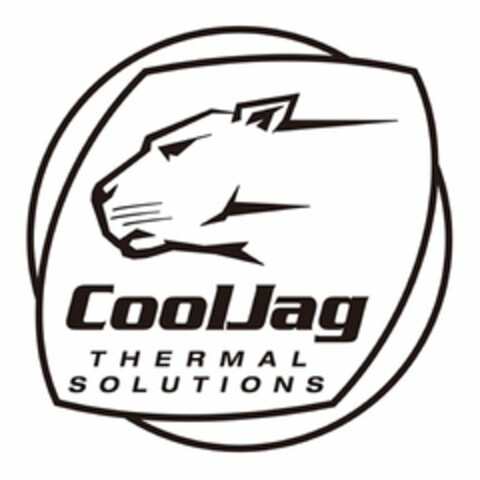 COOLJAG THERMAL SOLUTIONS Logo (USPTO, 09.09.2020)