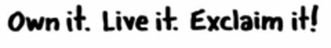 OWN IT. LIVE IT. EXCLAIM IT! Logo (USPTO, 01/06/2009)