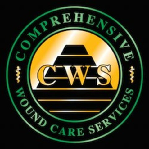 CWS COMPREHENSIVE WOUND CARE SERVICES Logo (USPTO, 03/14/2016)