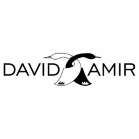 DAVID AMIR Logo (USPTO, 07.06.2019)