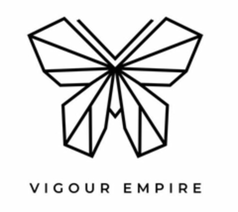 VIGOUR EMPIRE Logo (USPTO, 19.06.2020)