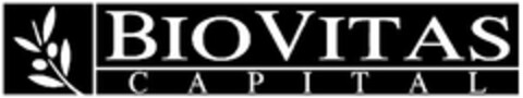 BIOVITAS CAPITAL Logo (USPTO, 11.08.2010)