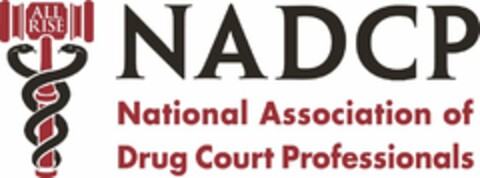 ALL RISE NADCP NATIONAL ASSOCIATION OF DRUG COURT PROFESSIONALS Logo (USPTO, 09.06.2017)