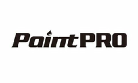 PAINTPRO Logo (USPTO, 07/12/2019)