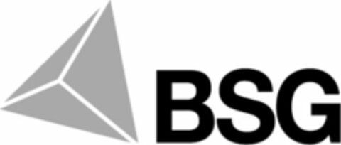 BSG Logo (USPTO, 26.10.2012)