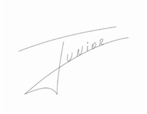 JUNIOR Logo (USPTO, 28.11.2017)